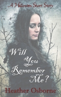 Will You Remember Me cover